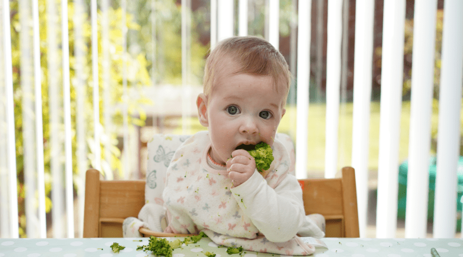 Baby probiert beim Beikoststart Brokkoli und sammelt erste Erfahrungen mit verschiedenen Lebensmitteln.